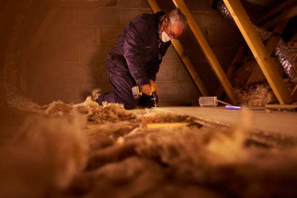 Best DIY Insulation Kits and Guidance in Timmonsville, SC